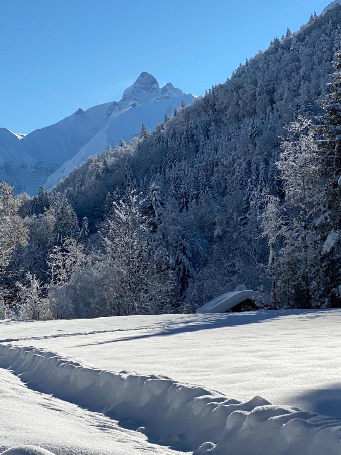 Landhaus Am Plattenbichl - Luxus Apartment Mit Privat-Pool Und Sauna - Im Sommer Bergbahn Inklusive Oberstdorf Esterno foto