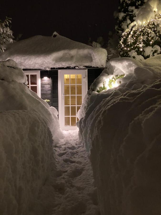 Landhaus Am Plattenbichl - Luxus Apartment Mit Privat-Pool Und Sauna - Im Sommer Bergbahn Inklusive Oberstdorf Esterno foto