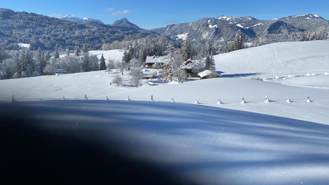 Landhaus Am Plattenbichl - Luxus Apartment Mit Privat-Pool Und Sauna - Im Sommer Bergbahn Inklusive Oberstdorf Esterno foto