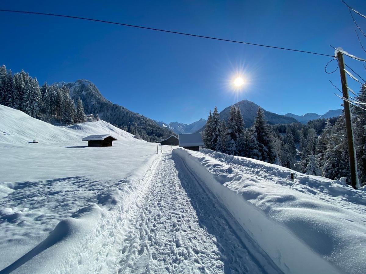 Landhaus Am Plattenbichl - Luxus Apartment Mit Privat-Pool Und Sauna - Im Sommer Bergbahn Inklusive Oberstdorf Esterno foto